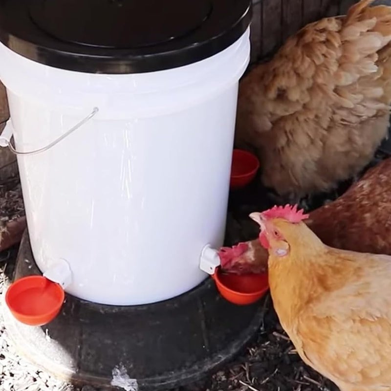 MODUODUO Automatic Drinker Cups with Nipple Drinking 12 Sets for Bird Poultry Upgraded Chicken Waterer Pigeon Quail - Image 5